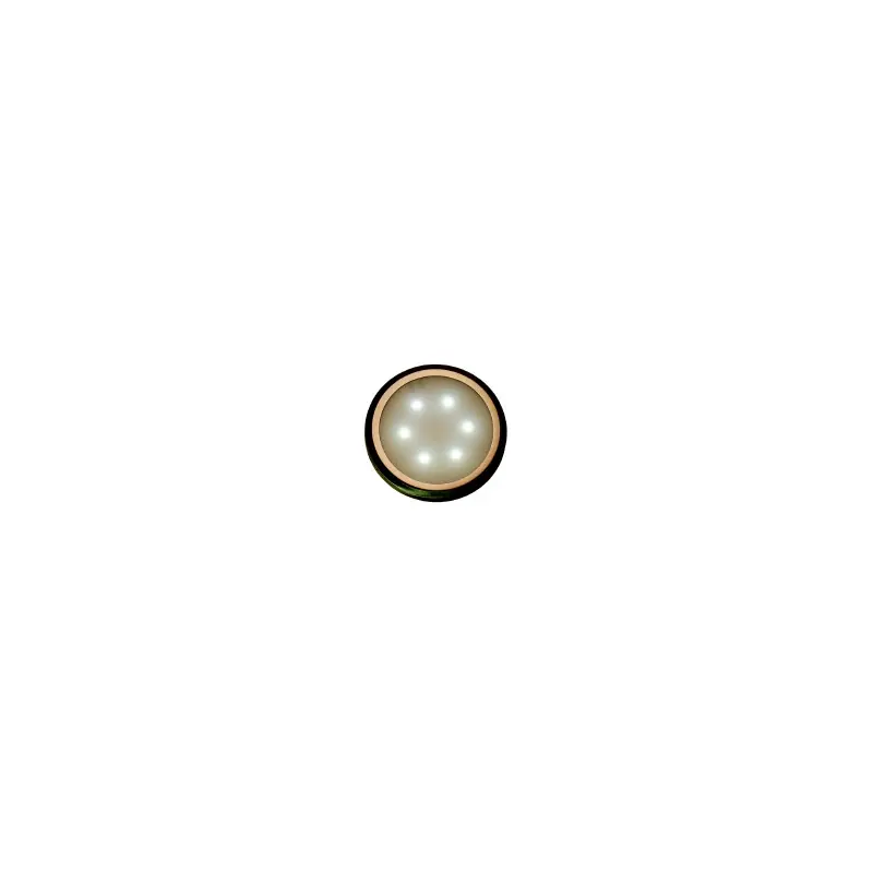 Omezená Nabídka Sv.DEKORA 3 6LED 0,5W D3/NBS 12V