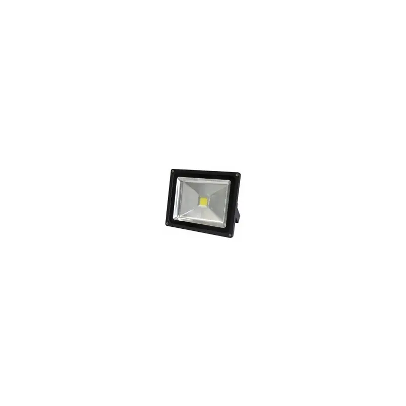 Reflektor LED MCOB 50W/CW ZS1214 * Jen Po Omezenou Doba
