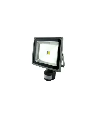 Tovární Cena Reflektor LED COB,5500K classic 20W