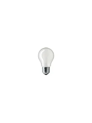 Žárovka 230V 25W E27 mat *PI Ihned K Objednání