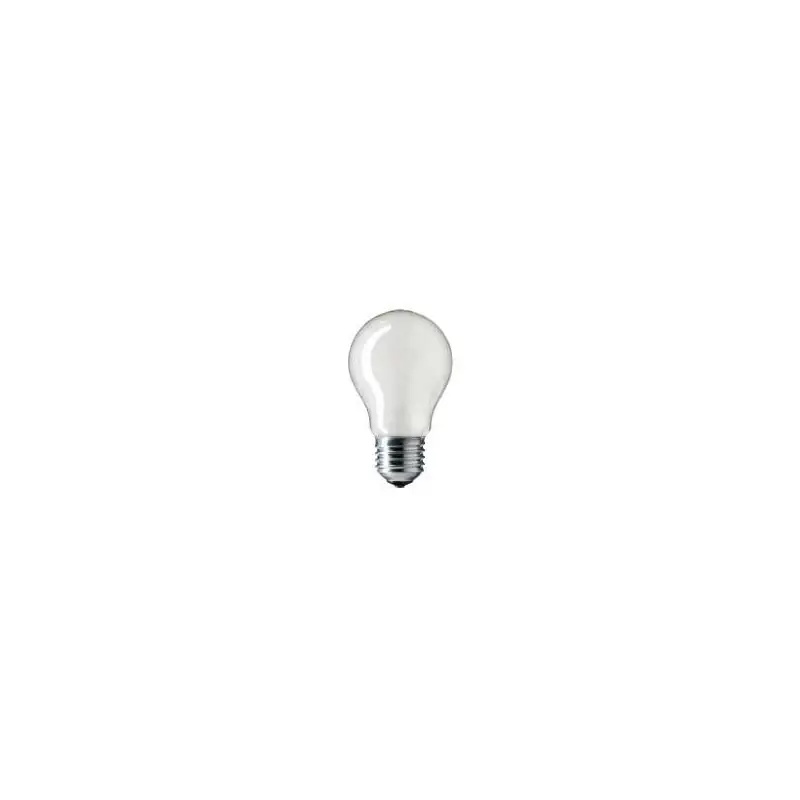Žárovka 230V 25W E27 mat *PI Ihned K Objednání