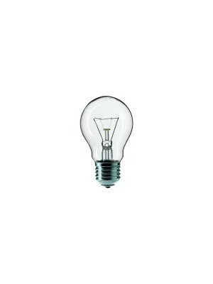 Žárovka 240V 25W E27(A55) čirá Ph Aktuální