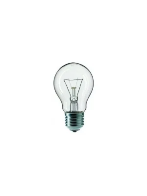 Oblíbený Žár.AGR 240V 100W E27 A55 čir NBB
