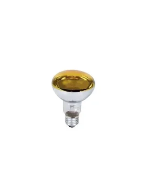 Nejprodávanější Žárovka 230V 60W E27 ref/R80žl Ph