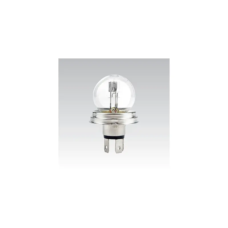 A-žár. 12V R2 45/40W 49211 NAR Nejprodávanější