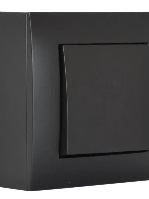 Vypínač (spínač) nástěnný, řazení č.1, instalace na omítku, barva černá matná Autentický