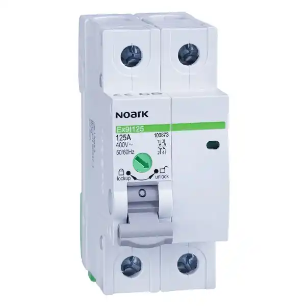 Noark 100868 Ex9I125 2P 32A Instalační vypínač, šířka 2 moduly, 2pól, 32A Nízká Cena