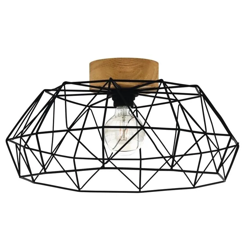 Top Prodej Stropní svítidlo EGLO PADSTOW 1xE27 černá 44088