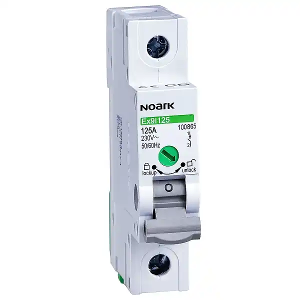 Omezená Nabídka Noark 100866 Ex9I125 1P 100A Instalační vypínač, šířka 1 modul, 1pól, 100A