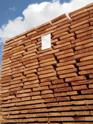 Bednění prkenné 24/22×min. 80 mm délka 4 m Víkendová Akce