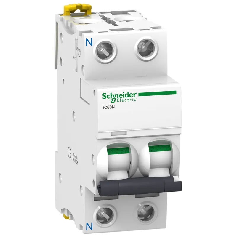 Horká Nabídka SCHNEIDER A9F73606 Jistič iC60N 1P+N 6A B export
